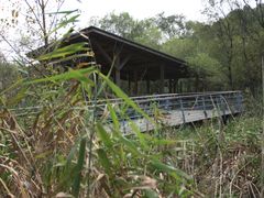 -西湖风景区-江洋畈生态公园