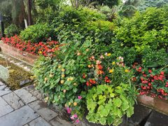 -金谷域澳洲庄园