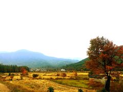 -塔川景区