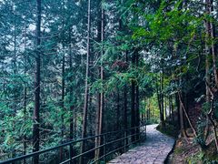 -天台山琼台仙谷景区