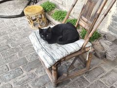 -驿舍·民國老营房院子私房菜(科学会堂店)