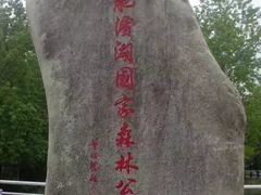 -合肥滨湖国家森林公园