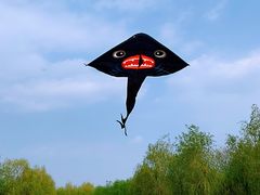 -东坝千亩湖公园