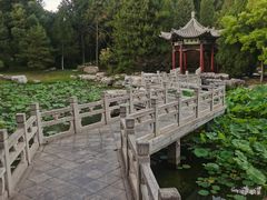 -晋祠公园