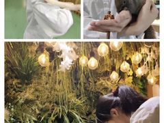-藦茜花园宠物主题亲子互动体验馆(国顺东路店)