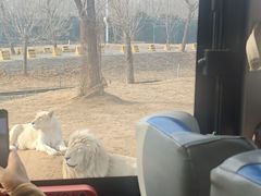 -秦皇岛野生动物园