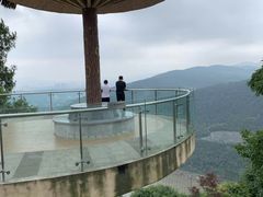 -铁山坪森林公园