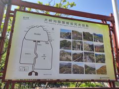 -大岭沟猕猴桃谷风景区