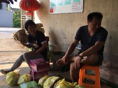 -马陆小张葡萄园农家乐