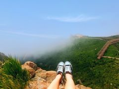 -白草畔自然风景区