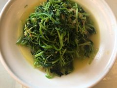 开阳鸡毛菜-冶春茶社(官园桥店)