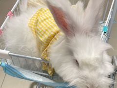 -怪兽屋·羊驼·猫咖·狗咖(俊华广场店)