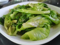 -新合益乡村农庄