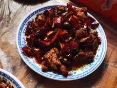 -食神又名厕所兔