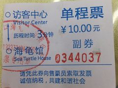 -广东惠东海龟国家级自然保护区