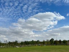 -上海海湾国家森林公园