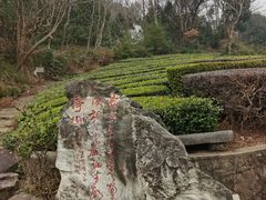 -敬亭山风景名胜区