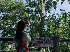 -少华山国家森林公园
