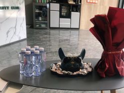 -MC皮肤管理中心