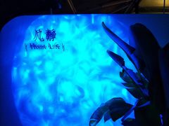 -几静cafe(基湖店)