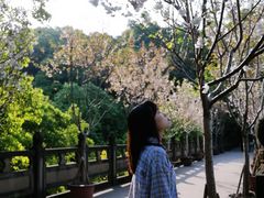 -南山植物园