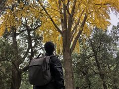 -偏爱炒鸡(老县衙店)