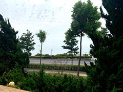 -青岛得宝湾维景国际大酒店(五四广场奥帆中心店)