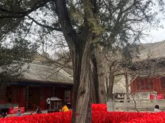 -红螺寺