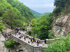 -泰山风景名胜区