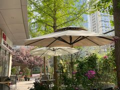 -Jamaicablue Coffeeshop(中央广场店)