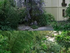 -墨尔本皇家植物园