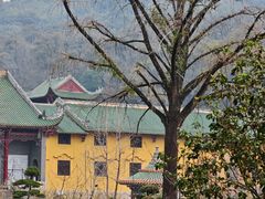 -南华寺素食馆(南华禅寺店)