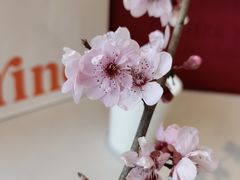 -CARINO BAKERY&CAFE(南方商城店)