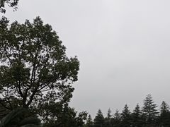 -陶祖圣境风景区