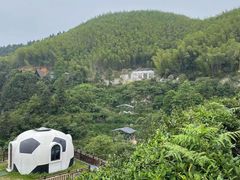 -长沙黑麋峰国家森林公园