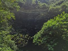 -海口火山口国家地质公园