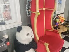 -H次元沉浸剧情密室(街道口店)