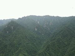 android_upload_pic-陕西省红河谷森林公园