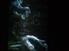 iphone_upload_pic-天幕新彩云国际影城(激光巨幕店)