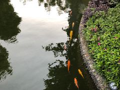 -上海虹桥宾馆味翠餐厅