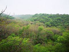 -大青沟风景区