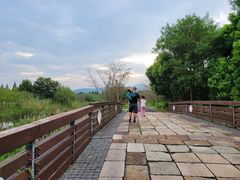-长田漾湿地公园