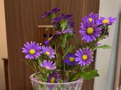 -Again Coffee Roaster(香蜜湖店)