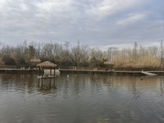 -溱湖国家湿地公园