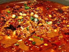 -阆辣荟餐饮(老味道8年·古城店)