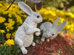 -香山公园