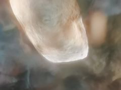 -天山海世界