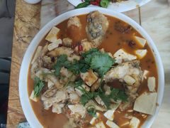 -煲来饱去冷水鱼