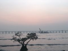 -宝安西湾红树林湿地公园