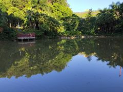 -阳台山森林公园